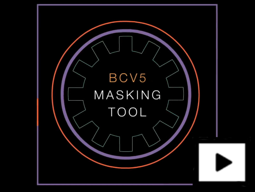Db2 Data Masking of Sensitive Data with BCV5