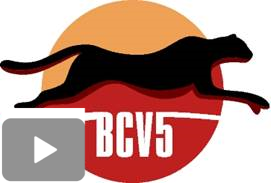 BCV5 